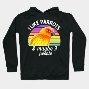 I Like Sun Conure Parrots and Maybe 3 People Hoodie